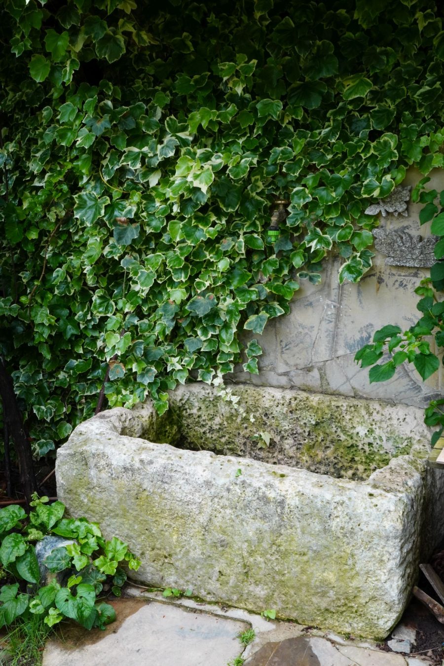 ТЕРОАР в Тайната градина на Саша, с. Тъжа - Image 14